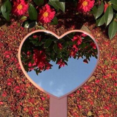 星空app官方版下载手机版