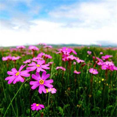 新版江南app登录