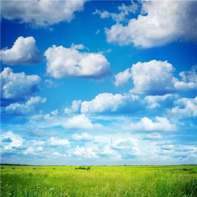 金沙官方登录入口